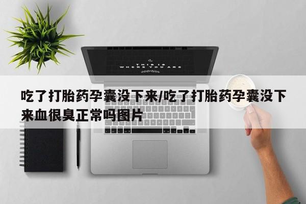 网上哪里可以买米非和米索，吃了打胎药孕囊没下来/吃了打胎药孕囊没下来血很臭正常吗图片